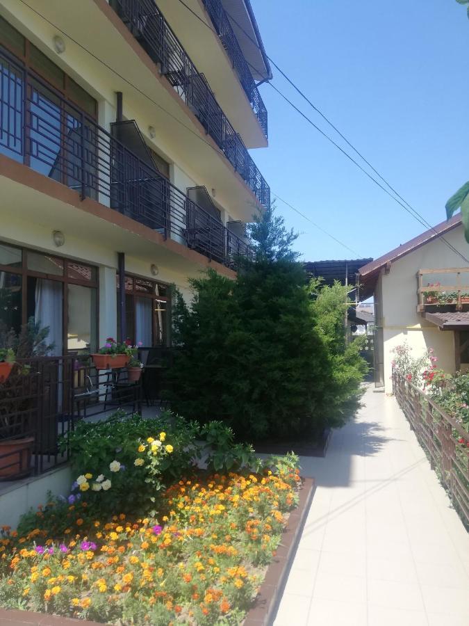Villa Pescarus Costineşti Exterior foto