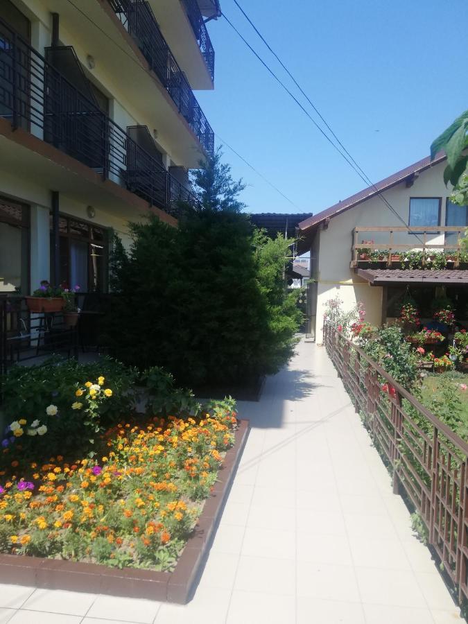 Villa Pescarus Costineşti Exterior foto
